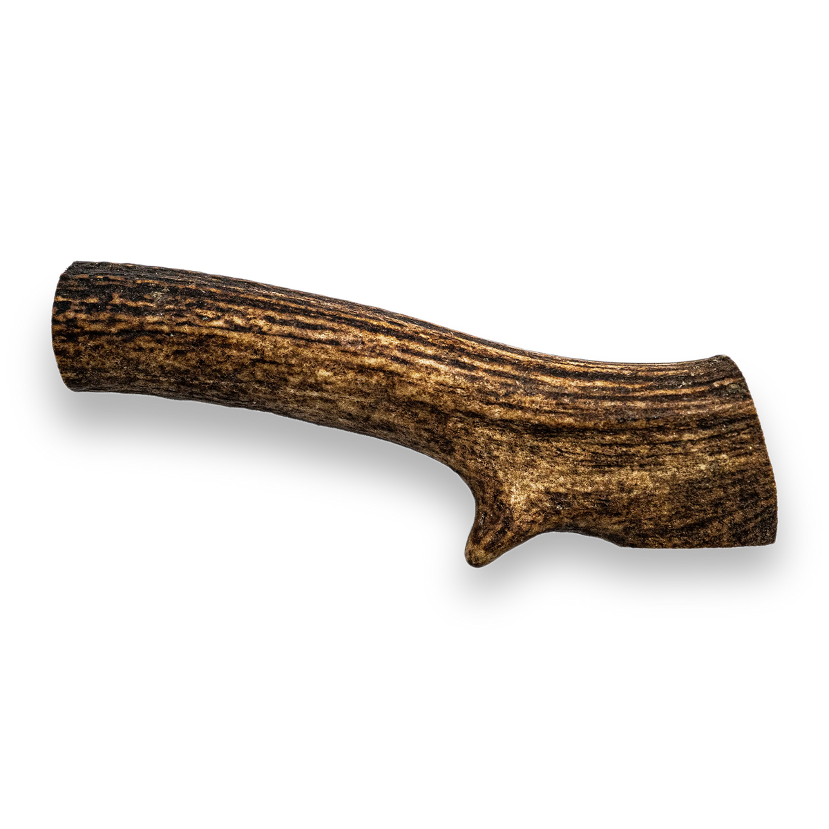 Deer Antler