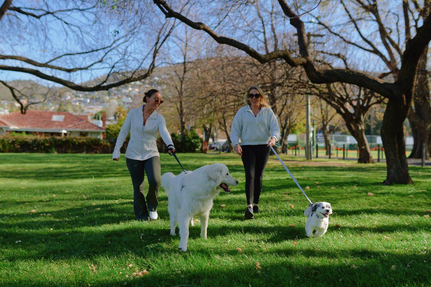 Two women walking a large and a small dog through the park