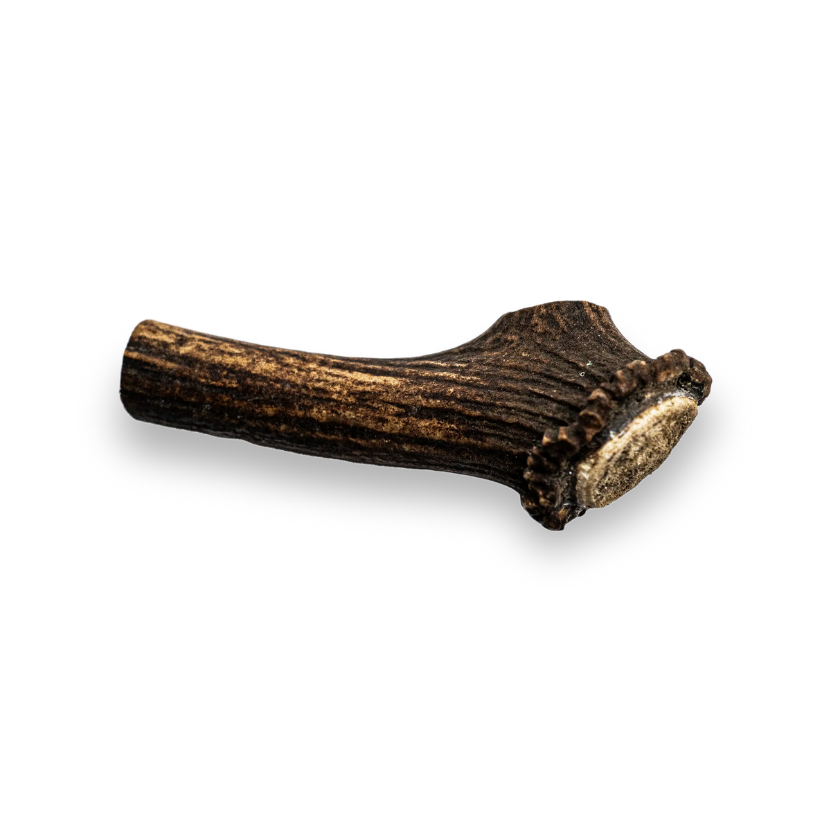 Deer Antler