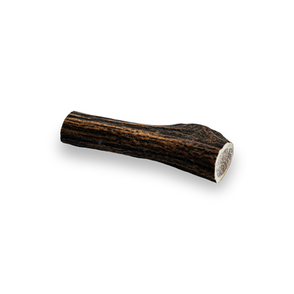 Deer Antler