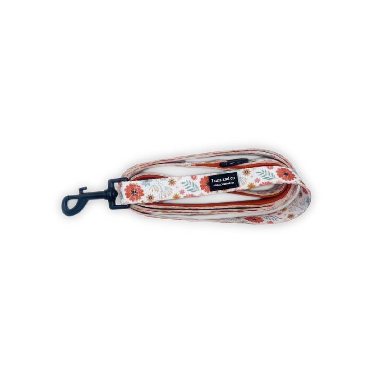 Dog Leash