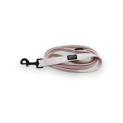 Dog Leash