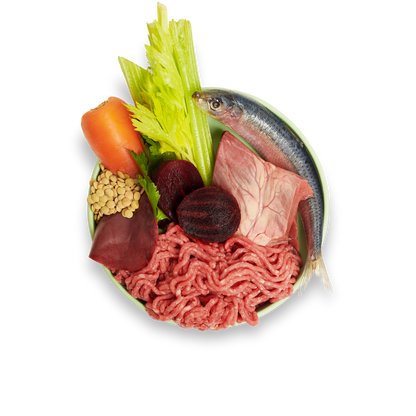 Beef, Beets and Lentils Meal