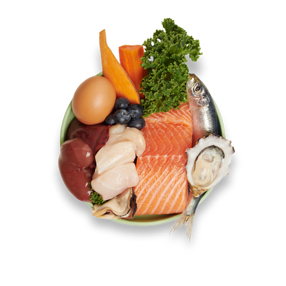 Salmon, Sardines and Blueberries Meal - 450g