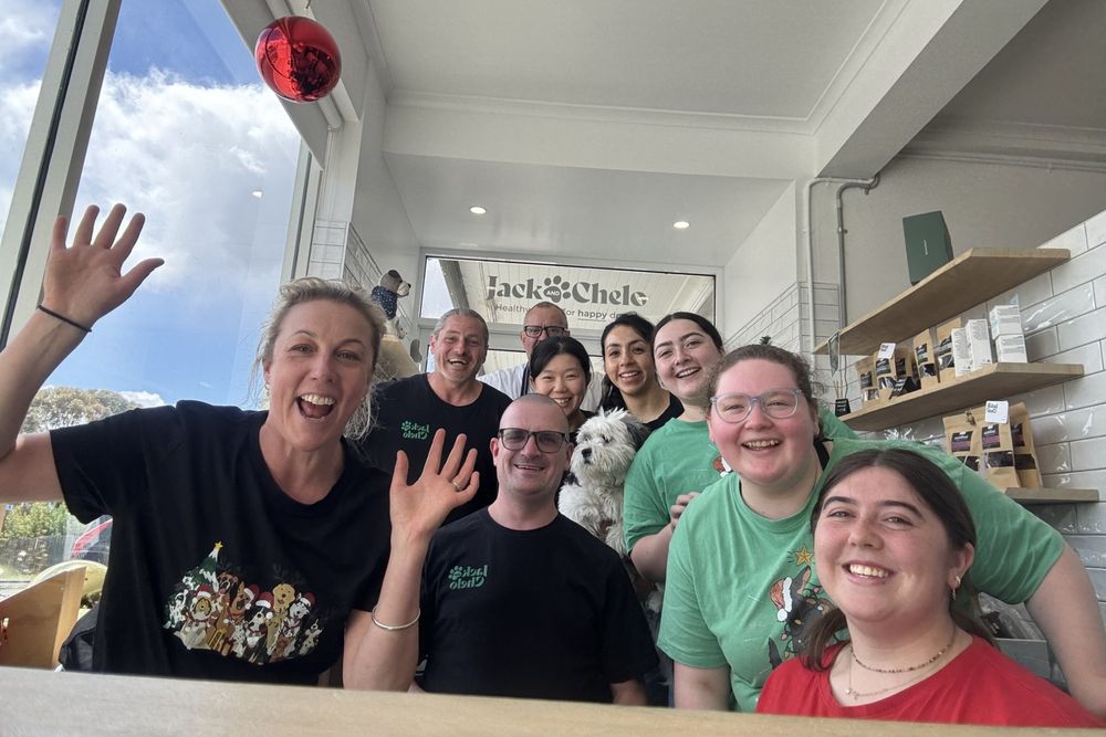 The Jack and Chelo team waving from the window of the Hobart store, with a small white dog