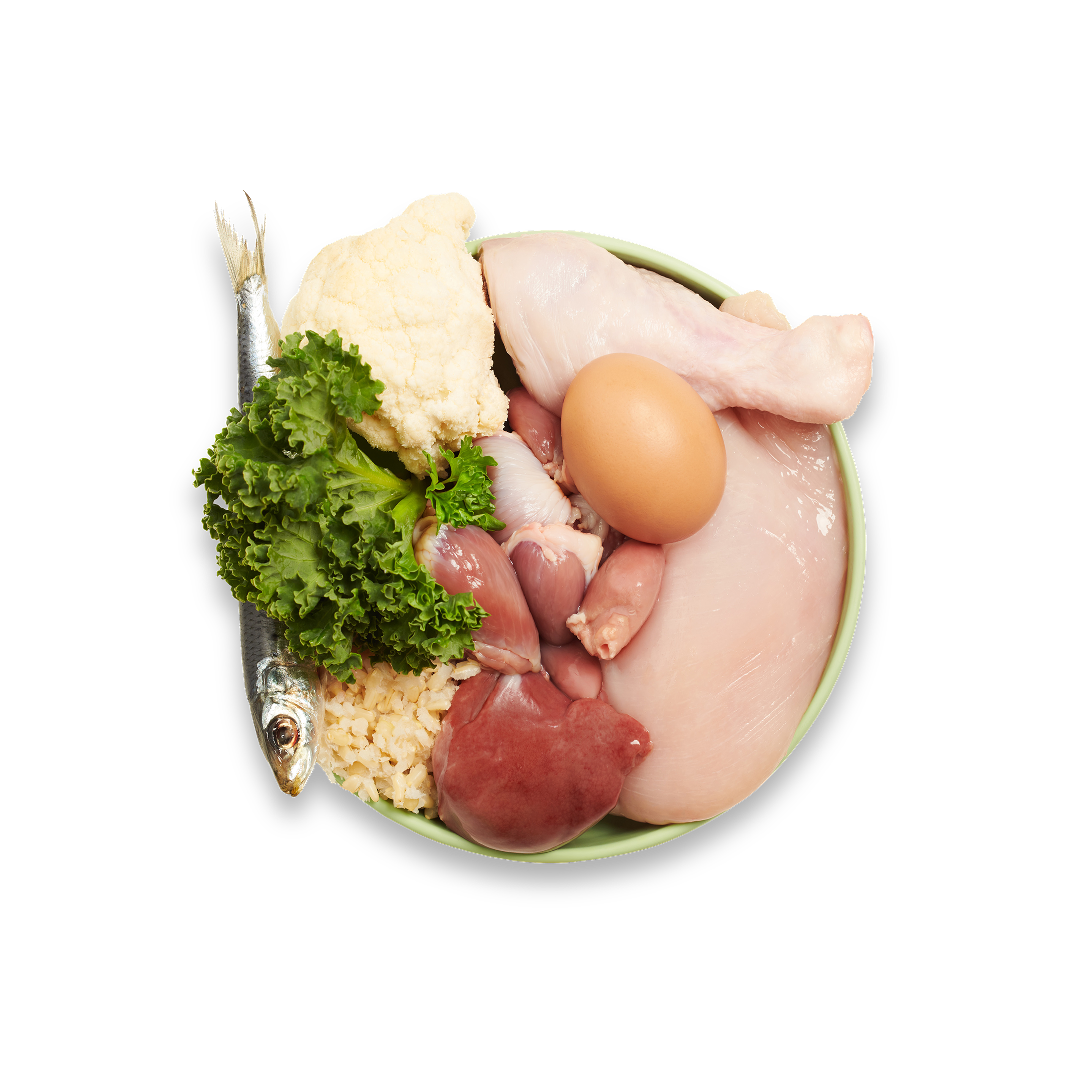 Chicken, Free-Range Egg and Kale